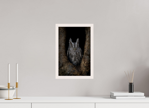 Observation, Pacific Screech Owl