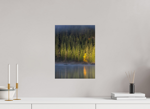 Spotlight, Montenegro