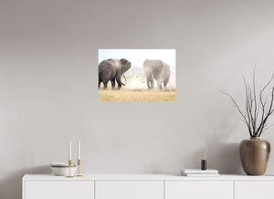 War and Peace, Elephant