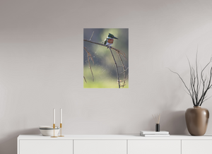 Delicate Details, Amazon Kingfisher