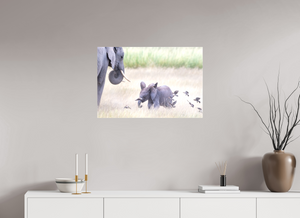 Childhood Fantasy, Elephant