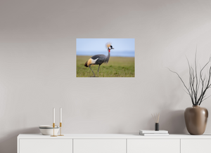 Strictly Formal, Crowned Crane