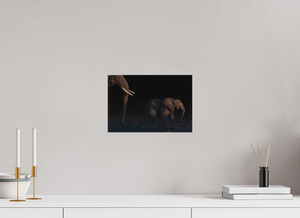 Shadow Guard, Botswana