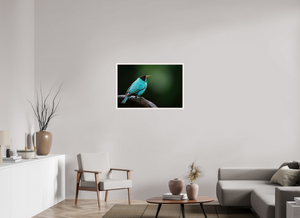 Centerpiece, Green Honeycreeper