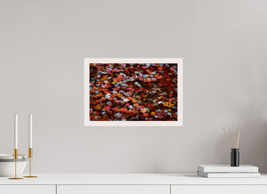 Liquid Inferno, Maine