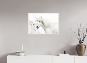 Transparency, Iceland