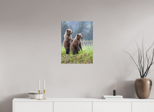 Double Trouble, Alaskan Coastal Brown Bear Cubs