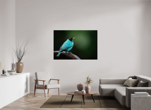 Centerpiece, Green Honeycreeper