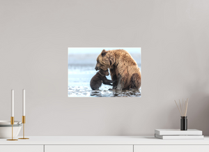 Protection, Alaskan Coastal Brown Bear Cub