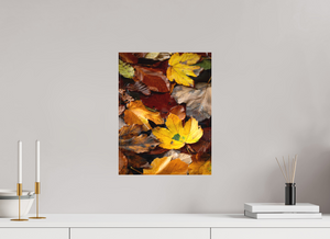 Leaf Litter, Croatia