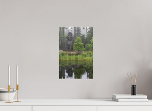 Eyes in the Forest, Maine