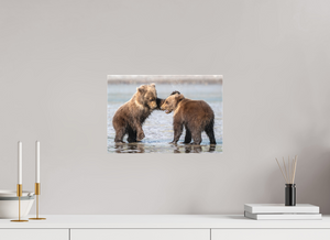 Conflict, Alaskan Coastal Brown Bear Cubs