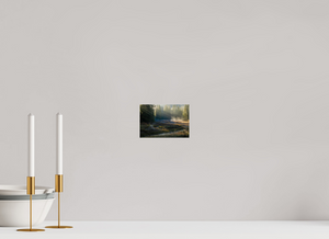 Ethereal Forest, Montenegro