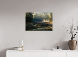 Ethereal Forest, Montenegro