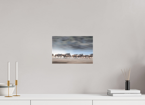 Safety in Numbers, Wildebeest