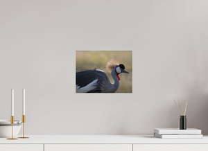 Rouge Details, Crowned Crane