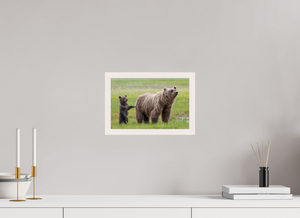 Maternal Instinct, Alaskan Coastal Brown Bear