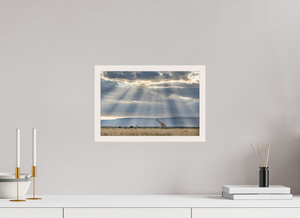 Waiting on Giants, Giraffe