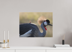 Rouge Details, Crowned Crane