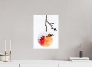 Frozen Delight, Maine