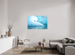 Frozen Eider, Iceland