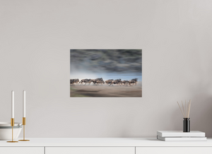 Safety in Numbers, Wildebeest