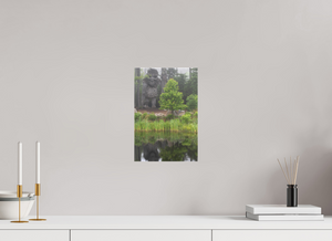 Eyes in the Forest, Maine