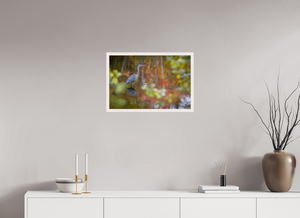 Impressions of Monet, Maine