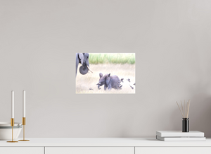 Childhood Fantasy, Elephant