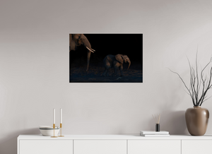 Shadow Guard, Botswana