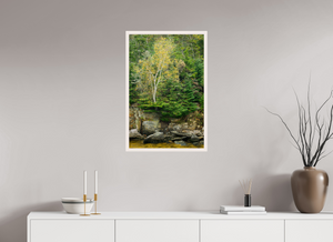 Autumn Confetti, Maine