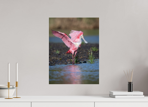 Water Dance, Roseate Spoonbill