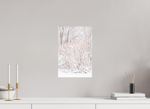 Torches of Winter, Maine