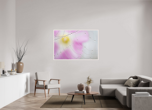 Spider's Treasure, Maine