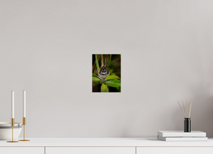 Weathering The Storm, Fantail