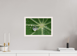 Jurassic Park, Maine