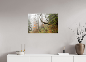 Imaginarium Opus, Slovenia