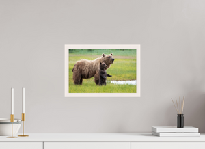 Standing Tall, Alaskan Coastal Brown Bear
