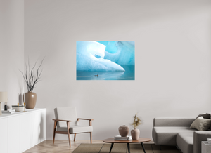 Frozen Eider, Iceland