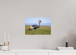 Strictly Formal, Crowned Crane