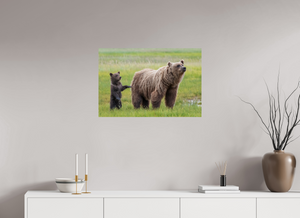 Maternal Instinct, Alaskan Coastal Brown Bear