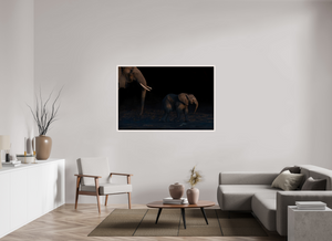 Shadow Guard, Botswana