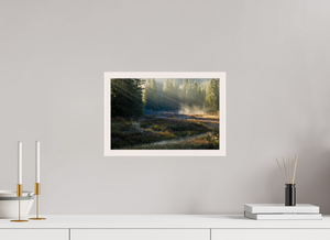 Ethereal Forest, Montenegro