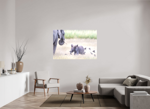 Childhood Fantasy, Elephant