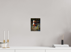 Signs of Spring, African Jacana