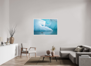 Frozen Eider, Iceland