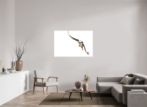 The Provider, Tufted Puffin