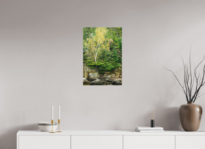 Autumn Confetti, Maine