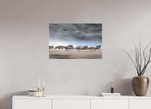 Safety in Numbers, Wildebeest