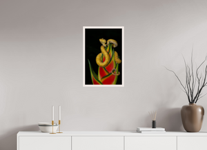 Fatal Attraction Fatal Attraction, Yellow Eyelash Viper